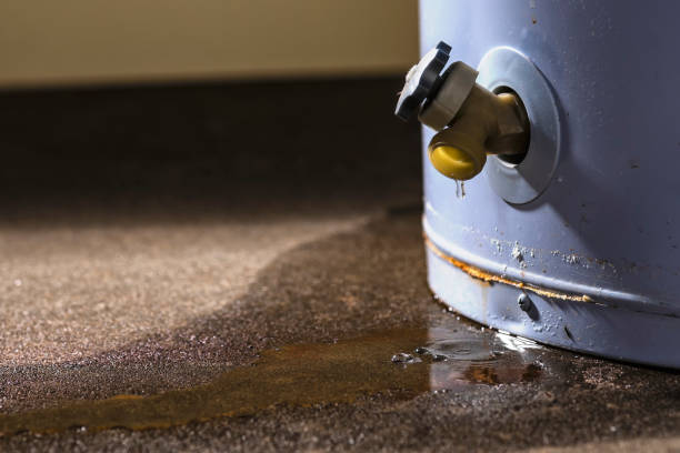 Best Local water damage restoration  in Mmerce City, CO