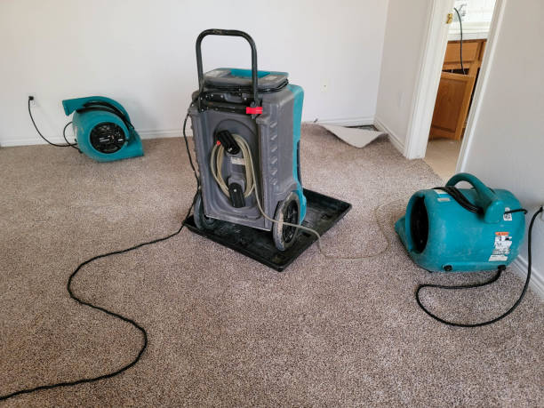 Best Commercial water damage restoration  in Mmerce City, CO