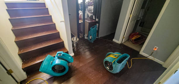 Water damage restoration mold remediation in CO